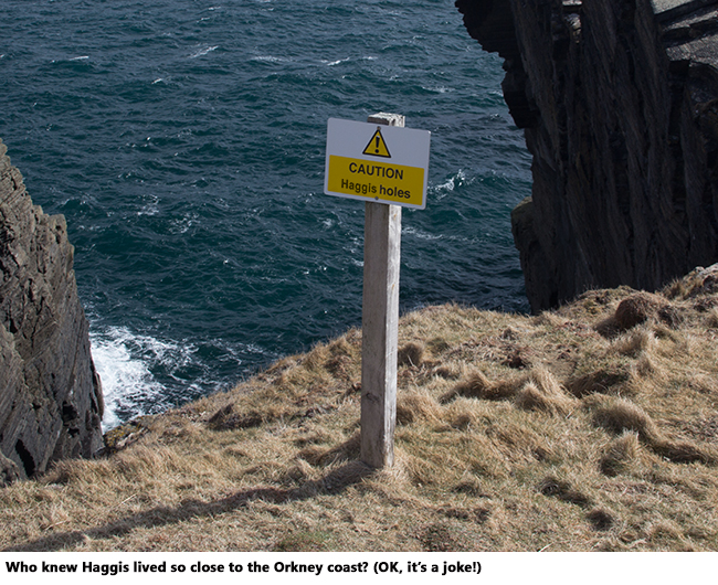 "Haggis Holes" on Orkney. Photo © 2013 by Mark Gillespie. "Haggis Holes" on Orkney. Photo © 2013 by Mark Gillespie.