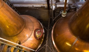 Stills at Balblair Distillery in Edderton, Scotland. Photo ©2011 by Mark Gillespie.