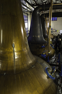 The stills at Craigellachie Distillery in Scotland. Photo ©2014 by Mark Gillespie.