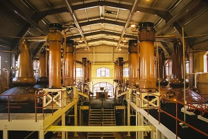 The still house at The Glenrothes Distillery in Rothes, Scotland. Photo ©2010 by Mark Gillespie.