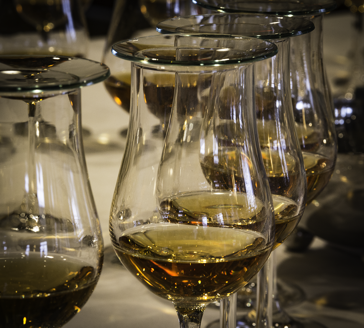 Sample glasses ready for a blind whisky tasting. Photo ©2019, Mark Gillespie/CaskStrength Media.