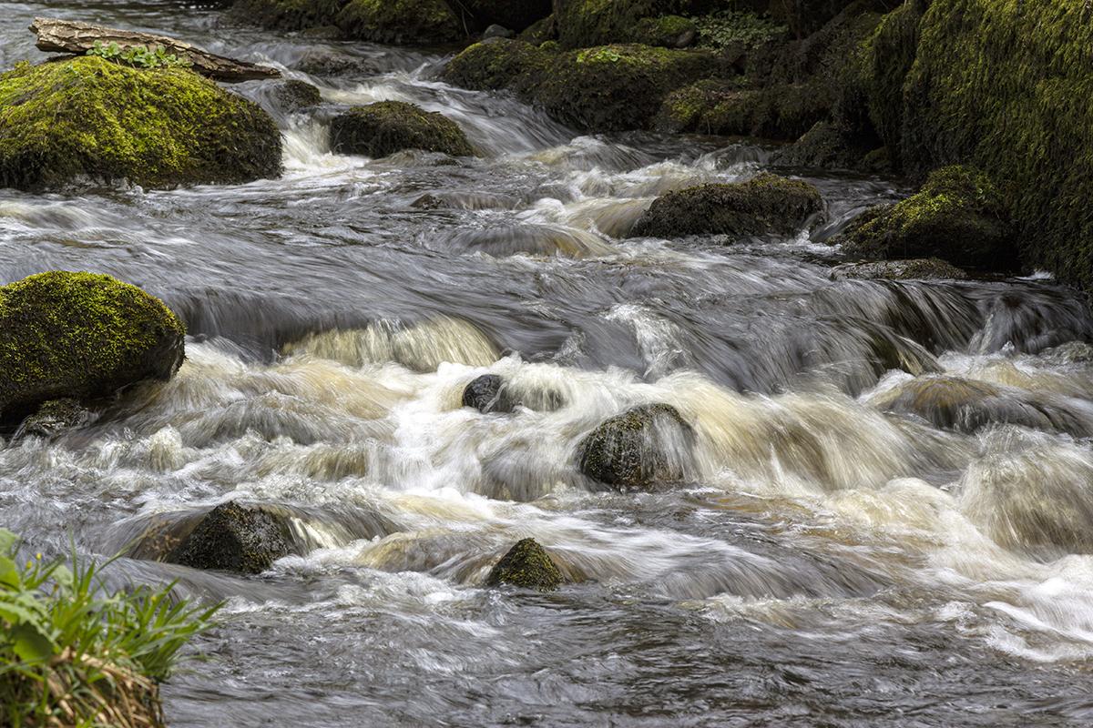 Mark's last dram of 2019 was from an older batch (#47) of Aberlour A'Bunadh, so we thought it would be appropriate to feature this photo of the Lour Burn, which runs alongside the Aberlour Distillery. Mark's last dram of 2019 was from an older batch (#47) of Aberlour A'Bunadh, so we thought it would be appropriate to feature this photo of the Lour Burn, which runs alongside the Aberlour Distillery in Scotland.