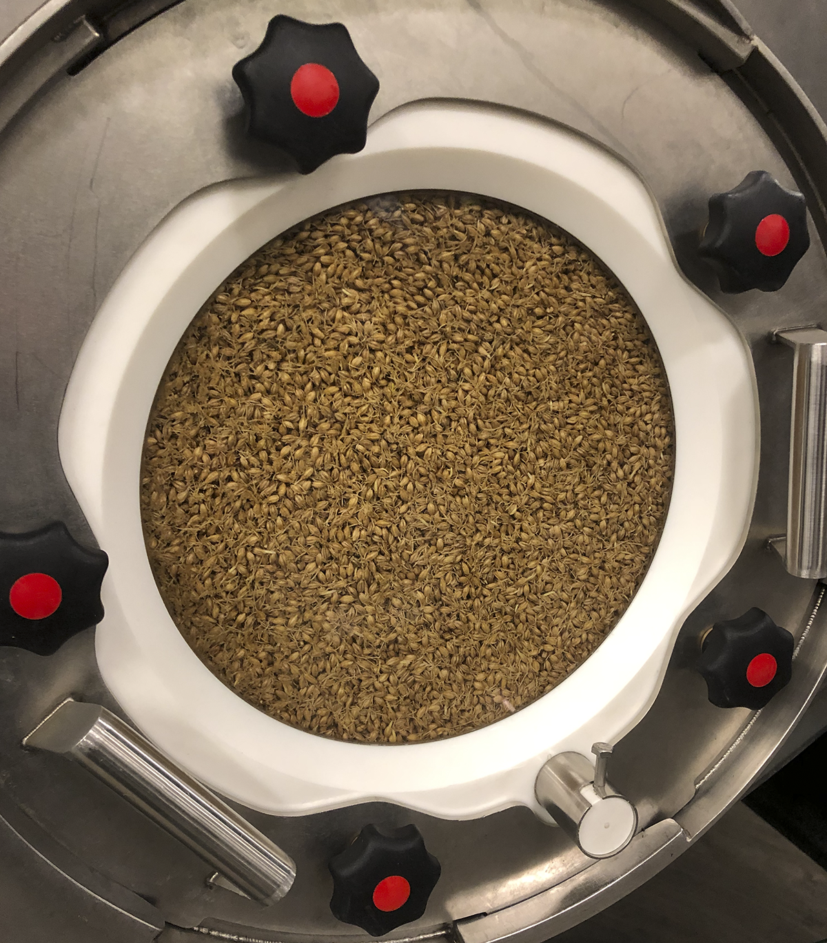 The 2020 World Whisky Forum in Seattle included a field trip to the Skagit Valley Maltings, where they've developed a unique closed malting system that steeps the grain, turns it, and dries it over several days inside a single drum. Clearly, it works, as you can see by the sprouts shooting off of the grain in the window. We'll have more from the Forum on this week's WhiskyCast! The 2020 World Whisky Forum in Seattle included a field trip to the Skagit Valley Maltings, where they've developed a unique closed malting system that steeps the grain, turns it, and dries it over several days inside a single drum. Clearly, it works, as you can see by the sprouts shooting off of the grain in the window. We'll have more from the Forum on this week's WhiskyCast!