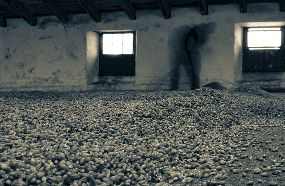 Years ago, almost every distillery in Scotland had a malting floor like this one. Now, only a handful of distilleries have their own floor maltings like this one at Highland Park Distillery on Orkney. Years ago, almost every distillery in Scotland had a malting floor like this one. Now, only a handful of distilleries have their own floor maltings like this one at Highland Park Distillery on Orkney. Photo ©2021, Mark Gillespie/CaskStrength Media.