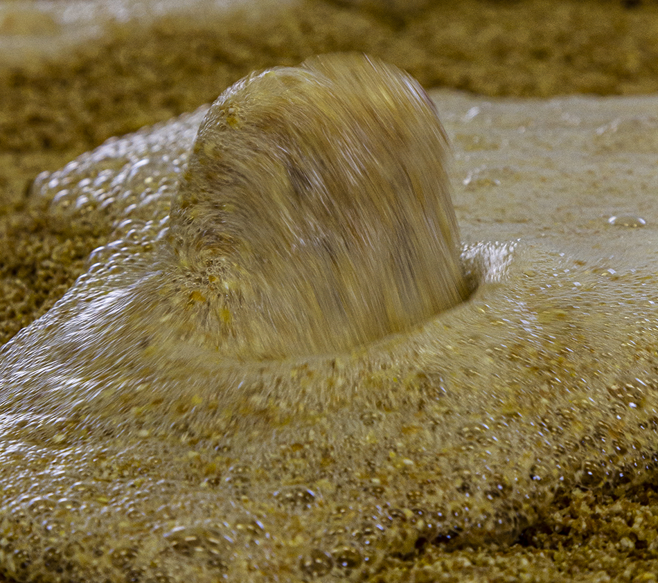 An active fermenter bubbling as the yeast converts sugars in the wash into alcohol. Photo ©2021, Mark Gillespie/CaskStrength Media.