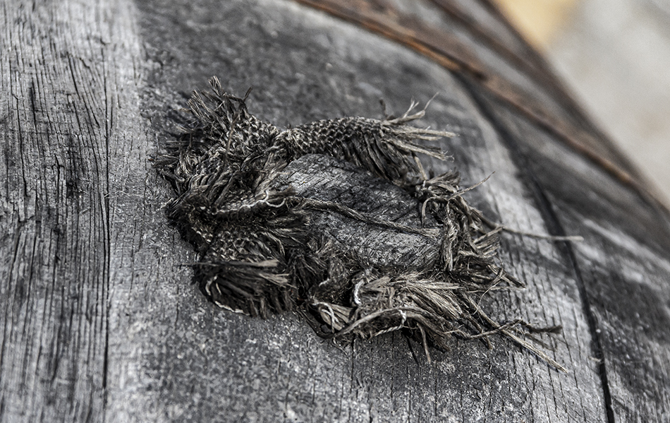Many distillers will use a piece of burlap to ensure a tight seal between the bung and the barrel, and that can make for an interesting photo such as this one at Westland Distillery's warehouse on Washington's Olympic Peninsula. File photo ©2021, Mark Gillespie/CaskStrength Media.