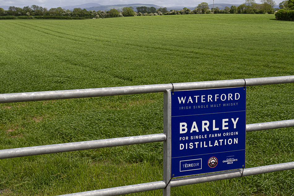 One of the Irish farms growing barley for Waterford Distillery. Photo ©2022, Mark Gillespie/CaskStrength Media.