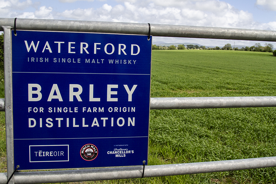 One of the Irish farms growing barley for Waterford Distillery. File photo ©2024, Mark Gillespie/CaskStrength Media.