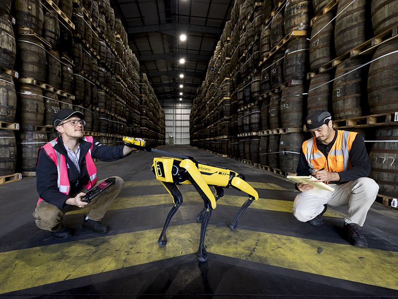 Royal Barkla and its handlers at the John Dewar & Sons warehouse near Glasgow. Photo courtesy Martin Shields.
